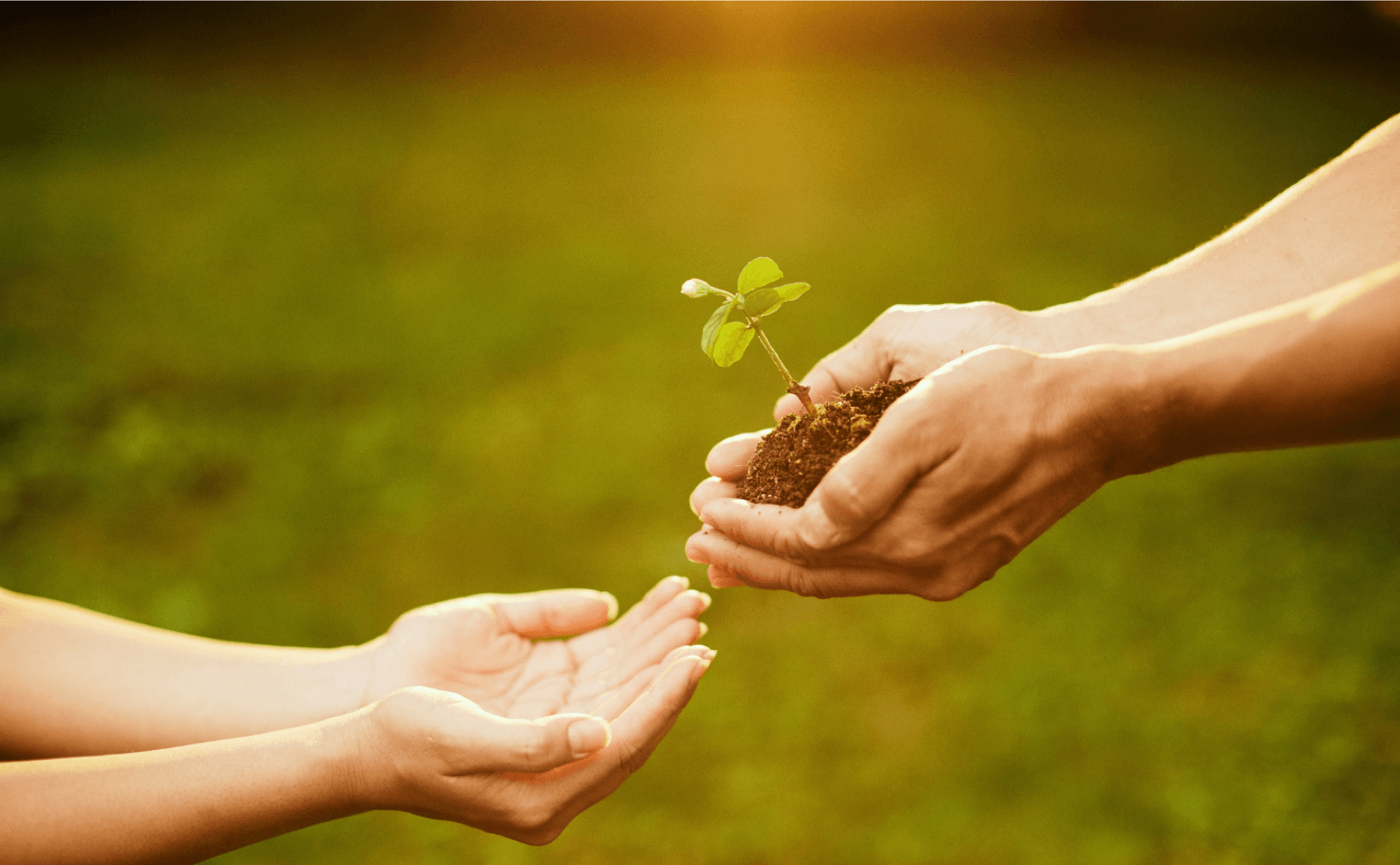 Our Environmental Commitment