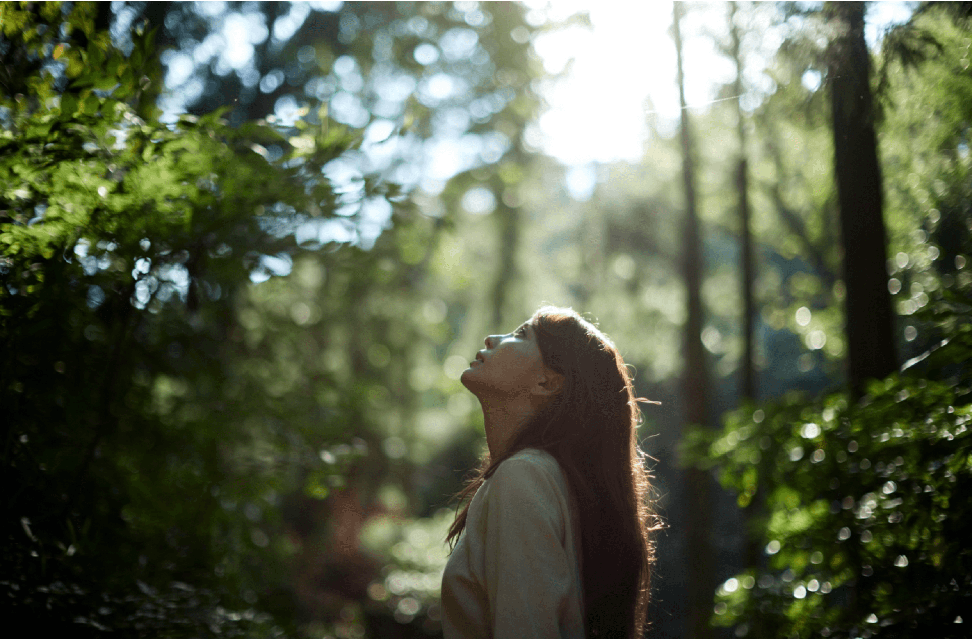 Welcome to Forest Bathing